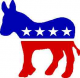 Democratic Party candidate to be elected US President in 2016
